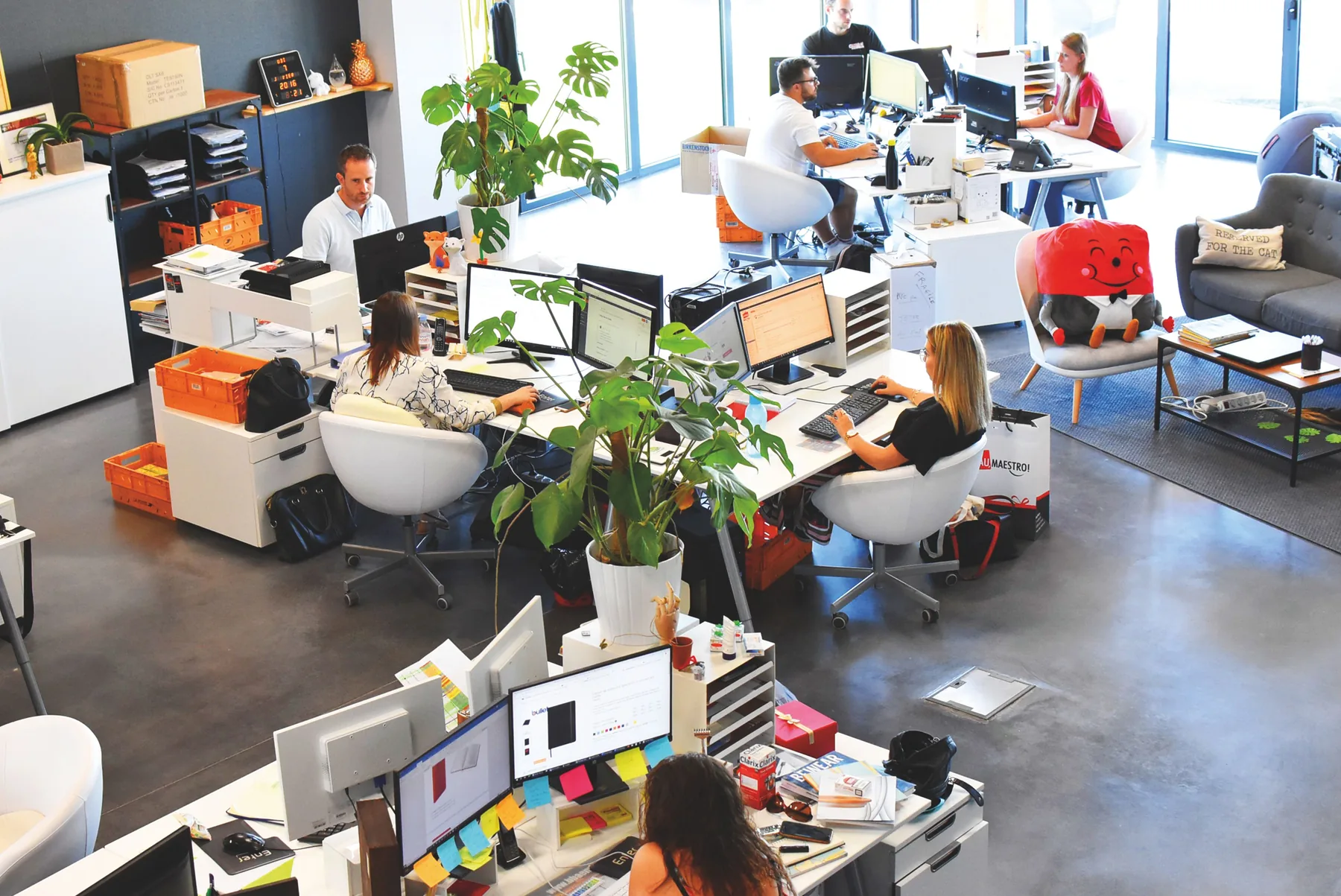 Séance de travail de due diligence financière à Montréal